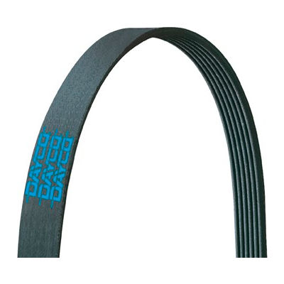 Poly Rib Belt, Dayco 5040355