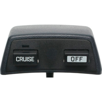 Cruise Control Switch - Intermotor DS-1717