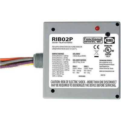 RIB® Enclosed Power Relay RIB02P, 20A, DPDT, 208-277VAC