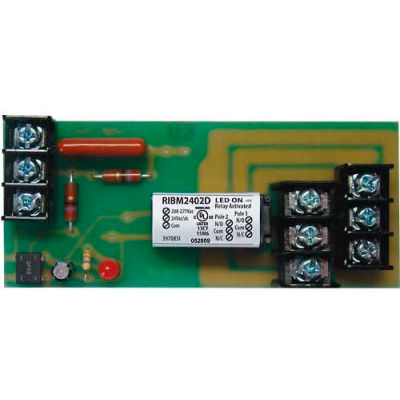 RIB® Track Mount Relay RIBM2402D, 4", 10A, DPDT, 24VAC/DC/208-277VAC