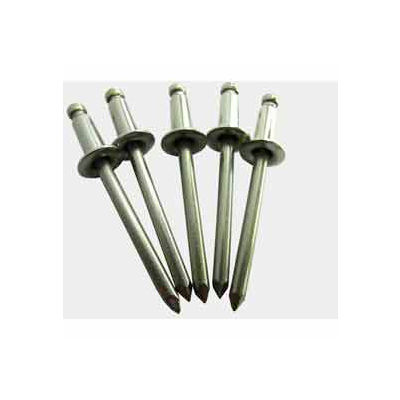 5/32D 1/8 Grip 18-8 Stainless Steel Rivet Pkg Of 10