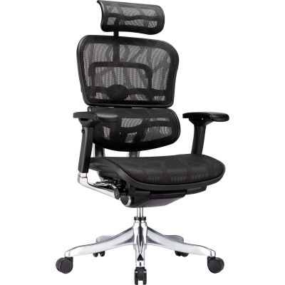 Eurotech Ergo Elite Executive High Back Chair - Black Mesh | B1111138 - GLOBALindustrial.com