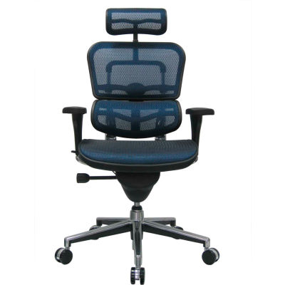 Eurotech Ergohuman Executive High Back Chair - ME7ERG-BLUE(N) - Blue Mesh