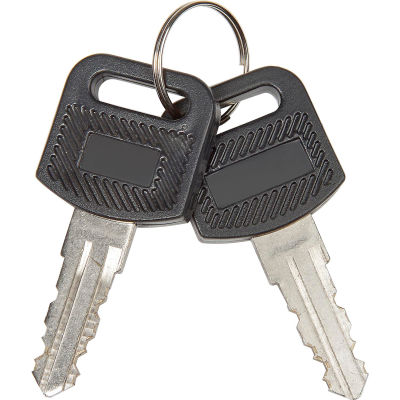 Global Industrial 2Pcs Replacement Keys for Charging Cabinets/Carts 985748, 251761, 987877
