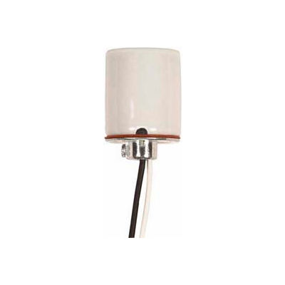 Satco 80-1614 Keyless Glazed Porcelain Socket 1/8 IP Cap w/Side Notches 2 Wireways and 18-in. Leads