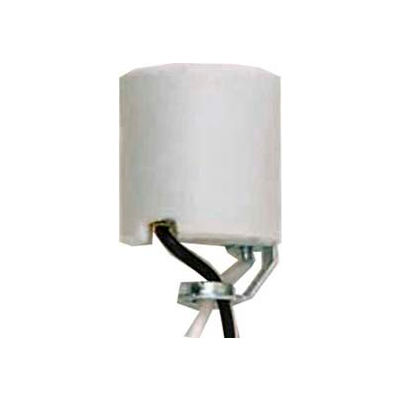 Satco 80-2182 Keyless Unglazed Porcelain Socket w/Hickey and 20-in. Leads