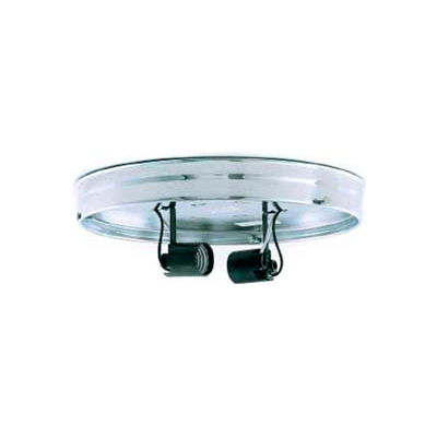 Satco 90-685 10-in. Two Light Ceiling Pan - White Finish