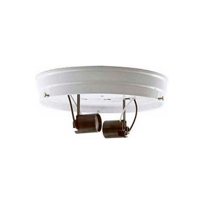 Satco 90-876 8-in. Two Light Ceiling Pan - Brass Finish