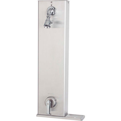Speakman S 1590 Af Sentinel Mark Ii Shower Valve Combination W Lever Handle B1170478 Globalindustrial Com
