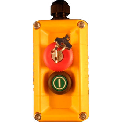 T.E.R., F71FY11000000002 VICTOR Wall Mount Control Station, Yellow, 2 Hole, Key Stop + Start