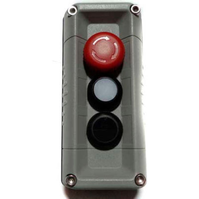 T.E.R., F71GG10020000001 VICTOR Wall Mount Control Station, Gray, 3 Hole, E-Stop + 2 Function