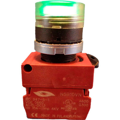 Springer Controls N5XPLAGD, Illuminated Push Button, Momentary, Flush - Amber - Pkg Qty 2