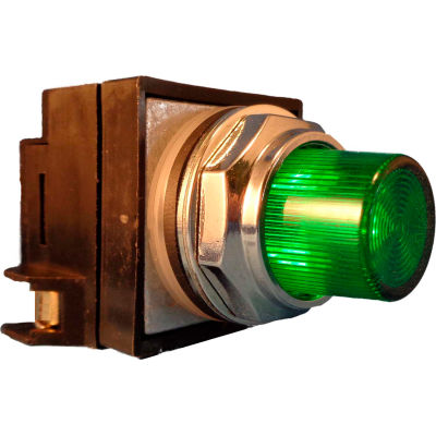Springer Controls N7PLSVT02-240,30mm Illum. Push-Button,Extended,Momentary,240V, 1 N.O.+1 N.C.,Green