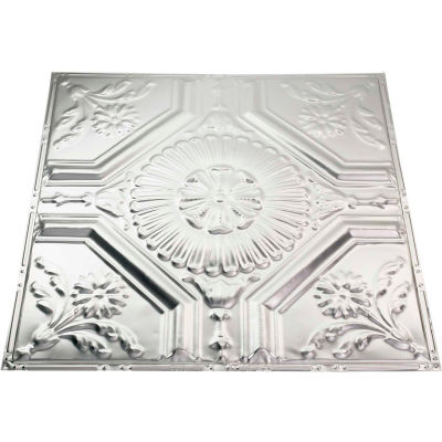 Great Lakes Tin Rochester 2' X 2' Nail-up Tin Ceiling Tile in Clear - T58-04