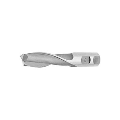 Import 2 Flute HSS Sq Single End Mill 1/4" Dia 3/8" Shank 1" Flute 3-1/4" OAL