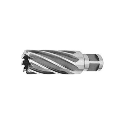 HSS Annular Cutter, 1-5/8" D, For 2" Depth of Cut, 10 Flutes x 3/4" Sh D, 2 Shank Flats