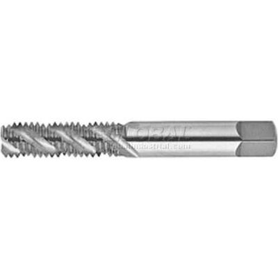 Plug Chamfer YG-1 L4 Series Vanadium Alloy HSS Spiral Pointed Tap TiN Coated Round Shank with Square End 7//8-14 Thread Size H6 Tolerance