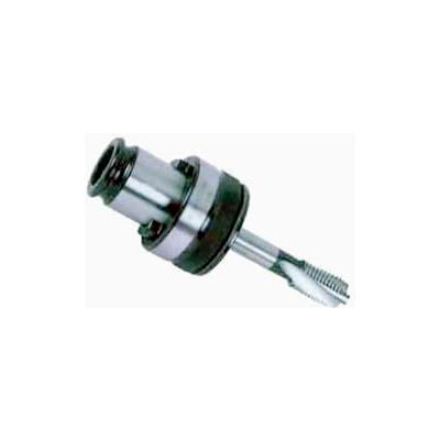 Quick Change Torque Control Tap Adapter, 5/16" #1 (19/1-4079), Import