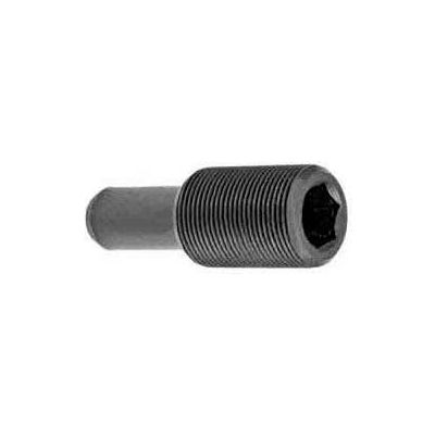 Bison Fine Adjustment Screw M12 for 5" Set-Tru, M12x1, 1.34