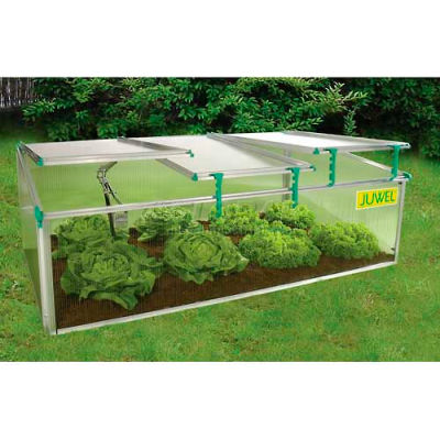 BioStar Premium Cold-Frame, 59"L x 32"W x 20"H