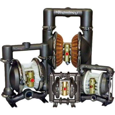 50-2798 2 Trans-FLO Gold AODD Pump 316SS with FKM Diaphragms and FBSP Ports 50-2798 2 Trans-FLO Gold AODD Pump 316SS with FKM Diaphragms and FBSP Ports