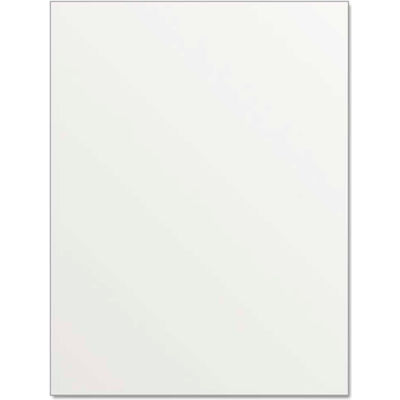 Royal Brites® Illustration Board, 20" x 30", White