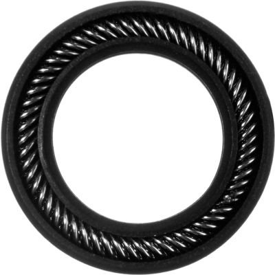 Graphite Filled PTFE Spring Energized Rod Seal for .5" Rod or .75" Piston Bore