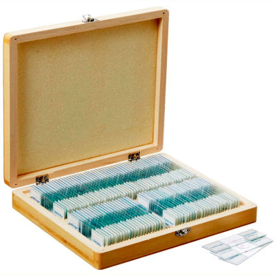 AmScope PS100E 100 pc. Homeschool Biology Prepared Microscope Slides with Wooden Case