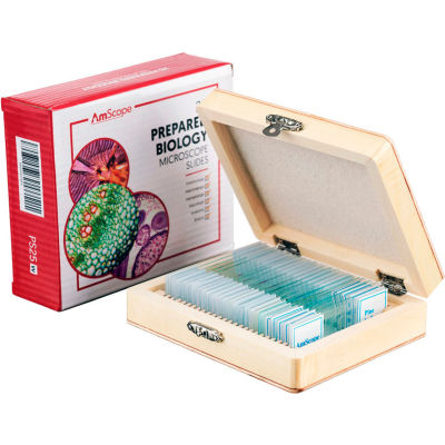 AmScope PS25 25 pc. Glass Prepared Microscope Slides with Wooden Box