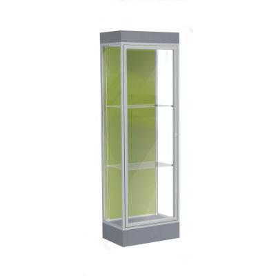 Edge Lighted Floor Case, Pale Green Back, Satin Frame, 6" Carbon Mesh Base, 24"W x 76"H x 20"D