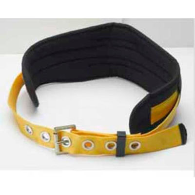 Werner® M110001 Tool Belt/Back Support, S