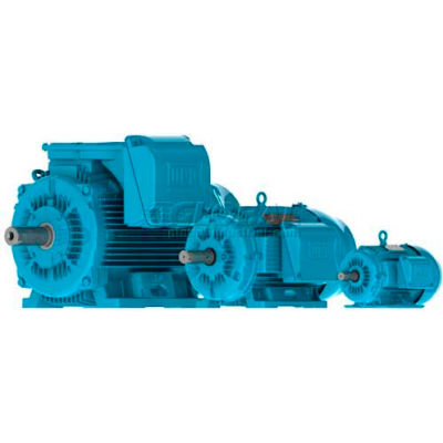 WEG IEC TRU-METRIC™ IE3 Motor, 01136ET3Y160M-W22, 15HP, 3600/3000RPM, 3PH, 460V, 160M, TEFC