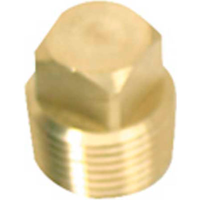 Whitecap 1/2" Tapered Thread Garboard Drain Replacement Plug, Brass - S-5052