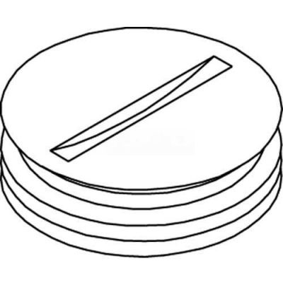 Wiremold 825a-3/4 Floor Box 800 Series Abandon Plug, Brass, 3/4" - Pkg Qty 5