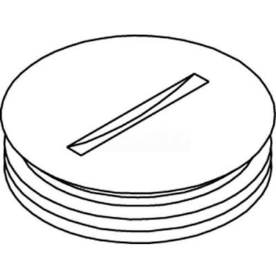 Wiremold 825a Floor Box 800 Series Abandon Plug, Brass, 2-1/4" - Pkg Qty 10
