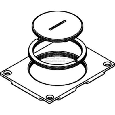 Wiremold 829ck Floor Box Communication Cover, 2-5/8" & 2 1/4" Plugs, Brass - Pkg Qty 10