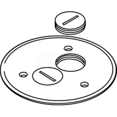 Wiremold 895sp Floor Box Cover Plate, Brass, W/Screw Plug Openings, For Carpet - Pkg Qty 8