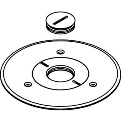 Wiremold 896ck-1 Floor Box Cover Plate, Brass, For Carpet W/1" Opening - Pkg Qty 8