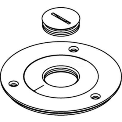 Wiremold 896tck-1 Floor Box Cover Plate, Brass, For Tile W/1" Opening - Pkg Qty 8