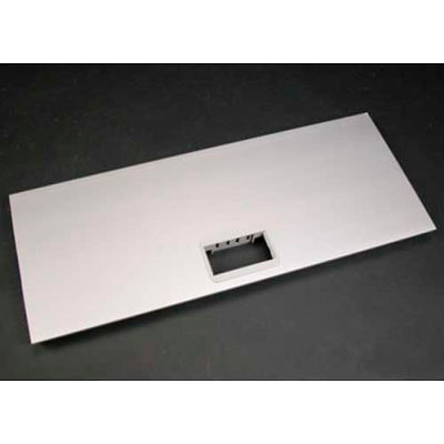 Wiremold Al5256-2a 2a Mini Adapter Bezel Cover Plate, Includes Bezel, 12"L