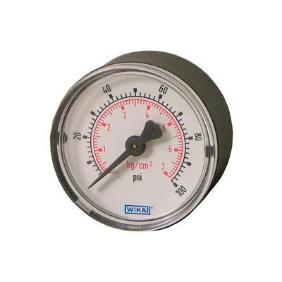 2" Type 111.12 160PSI Gauge - 1/4" NPT CBM Plastic