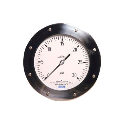 6" Type 732.26 150INH2Od Gauge - 1/4" Female NPTx2 TBM Powder Aluminum
