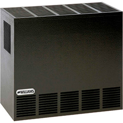 Williams Enclosed Front Room Heater 2001622A Natural Gas 20000 BTU
