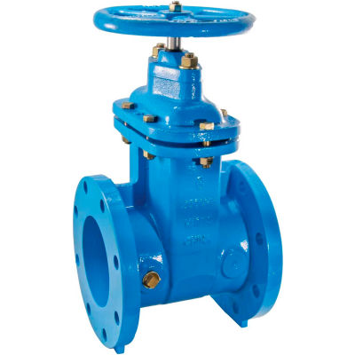 Watts 405-NRS-RW Cast Iron Gate Valve‚ 3 in FLG‚ 0700104