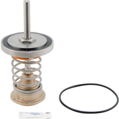 Watts 0899215 - RK 957/957RPDA CK1 10" 1st Check Kit