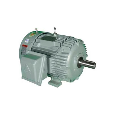 Hyundai T-Frame Motor IEEE10-18-215T, TEFC, Rigid, 3 PH, 215T, 460V, 12.8 FLA