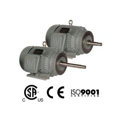 Worldwide Electric CC Pump Motor PEWWE10-18-215JP, TEFC, Rigid-C, 3 PH, 215JP, 10 HP, 1800 RPM