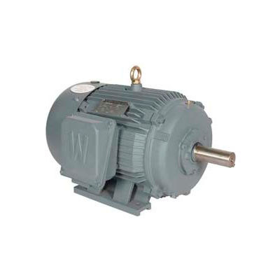 Worldwide Electric T-Frame Motor PEWWE25-18-284TS, GP, TEFC, Rigid, 3 PH, 284TS, 30.8 FLA