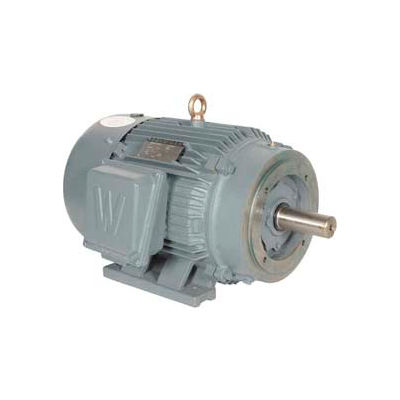 Worldwide Electric T-Frame Motor PEWWE60-18-364TC, GP, TEFC, Rigid-C, 3 PH, 364TC, 70.5 FLA