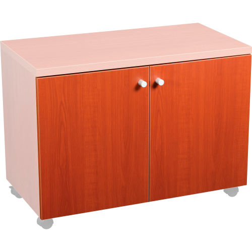 Door Kit for 30in Storage Cabinet (695515)